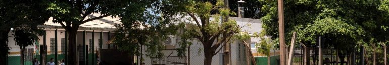 Agrotóxicos: órgãos públicos fazem ‘operação abafa’ após intoxicação em escola de Sinop (MT)