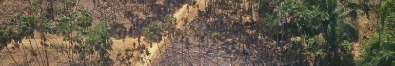 Organização criminosa comandava grilagem em terra de indígenas isolados no Pará, aponta investigação