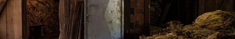 Fumo produzido no Sul do país usa agrotóxicos banidos internacionalmente