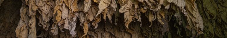 Multinacionais fazem lobby para vender ‘futuro sem fumaça’ dos cigarros eletrônicos