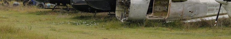 ‘Garimpo ilegal zero’: nove medidas urgentes para acabar com o crime