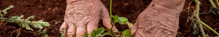 Aposta de Lula contra a fome, reforma agrária continua parada após 2 meses de governo