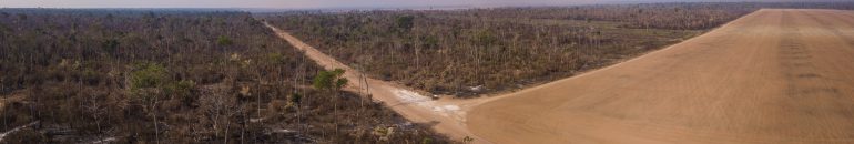 Cargill, Amaggi e Cofco compram soja de família com área embargada e incendiada no Mato Grosso