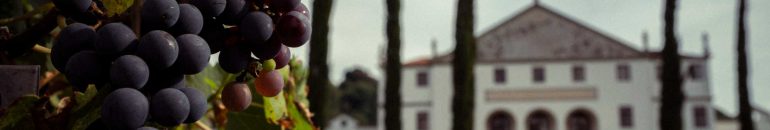 Noites em porões, almoço na caridade: violações se mantêm na serra gaúcha após caso de trabalho escravo