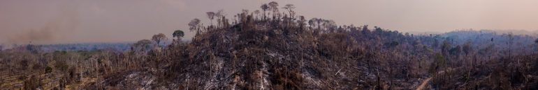 Banco do Brasil cria política climática para guiar investimentos, mas financia desmatadores