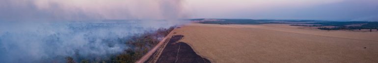 Gigante chinesa recebe bilhões para garantir soja sustentável no Brasil, mas compra de desmatadores
