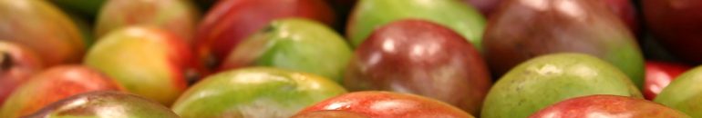 Fornecedora de manga de Tesco e Walmart é multada por impor jornadas de 10 horas ao dia a trabalhadores