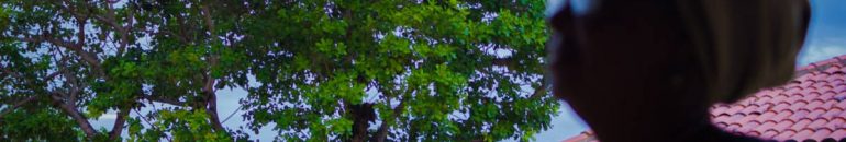 ‘Alvos ambulantes’: execução de mãe Bernadete revela descaso com regularização de quilombos