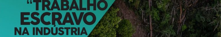 Boletim Monitor #8: Trabalho escravo na indústria da carne