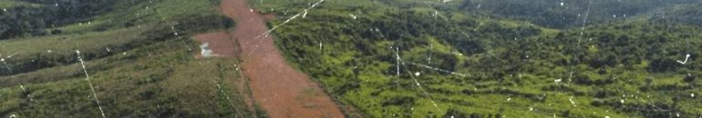 Tráfico e garimpo ilegal compartilham aviões e pilotos na Amazônia