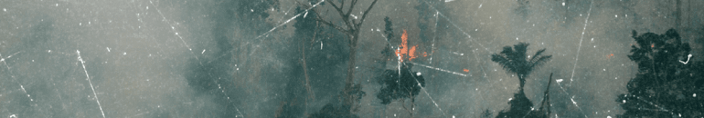 Cortes da fiscalização ambiental estimularam explosão de narcogarimpos na Amazônia