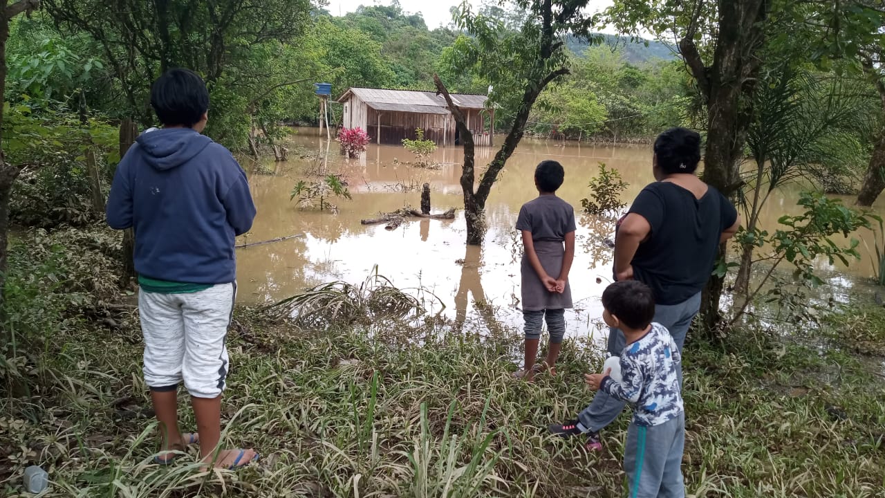 índigenas xokleng observam casas alagadas em terra indígena