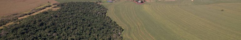 Seguradora suíça lucra no Brasil com seguro de lavouras irregulares