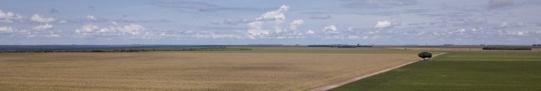 BNDES financia desmatadores a dois meses de nova regra ambiental entrar em vigor