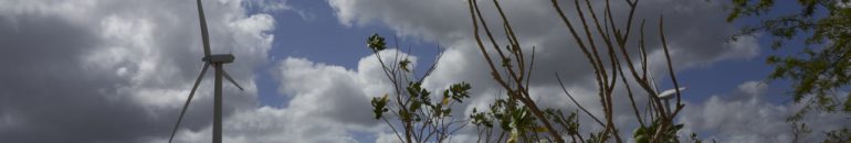 Eólicas miram lotes da reforma agrária para expandir energia dos ventos no Rio Grande do Norte