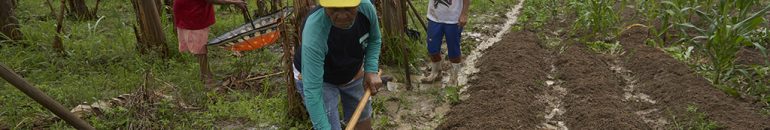 Alerta no campo: acampamentos do MST vivem aumento da violência com reforma agrária parada