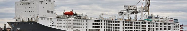 Após caos por esterco de 19 mil bois, ONGs pedem fim de exportação de gado vivo