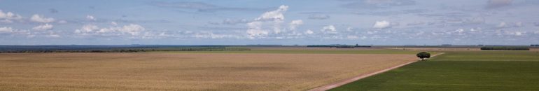 Dinheiro público pagou seguro para lavouras em fazendas desmatadas ilegalmente